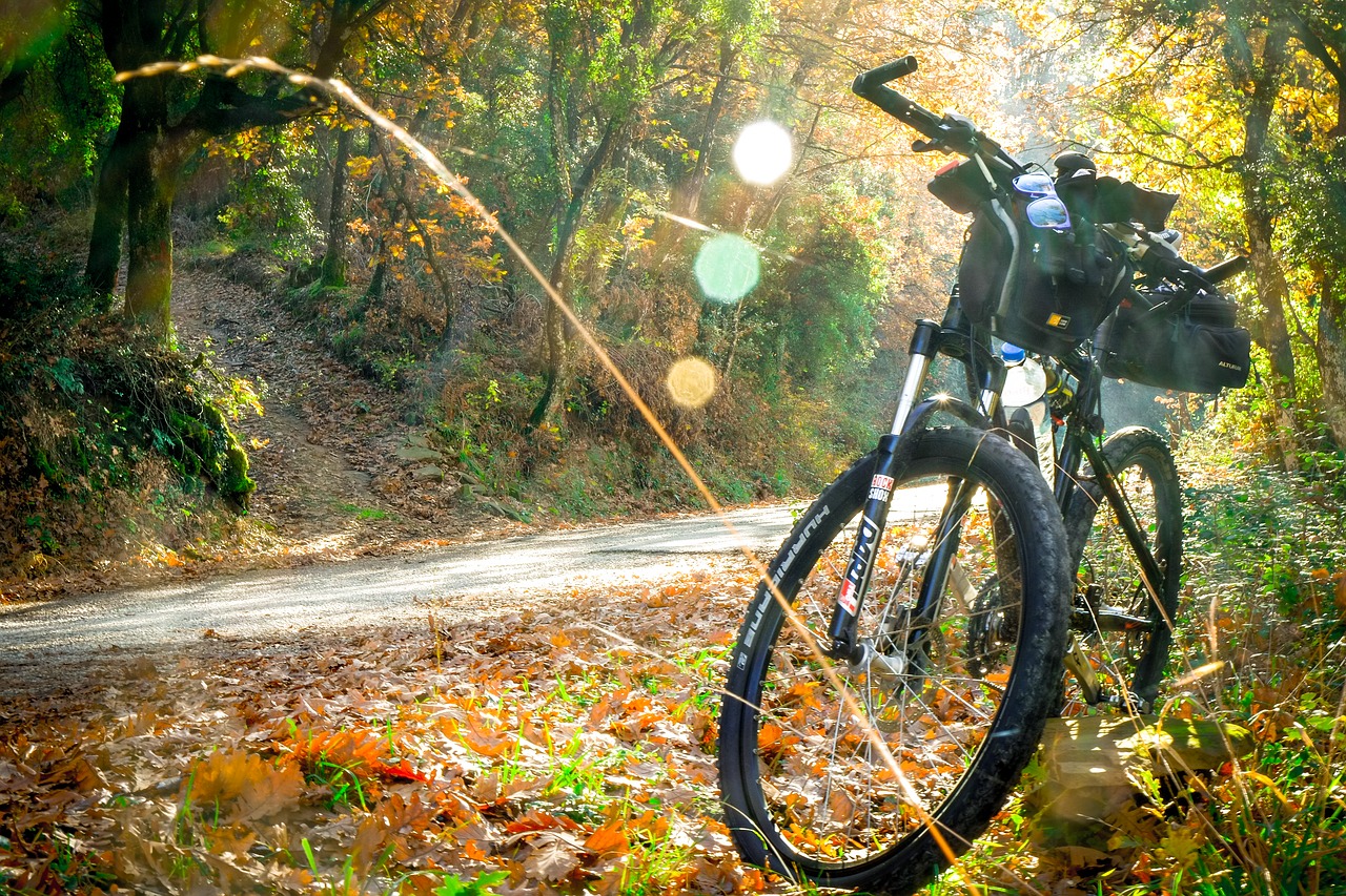elektrische fiets